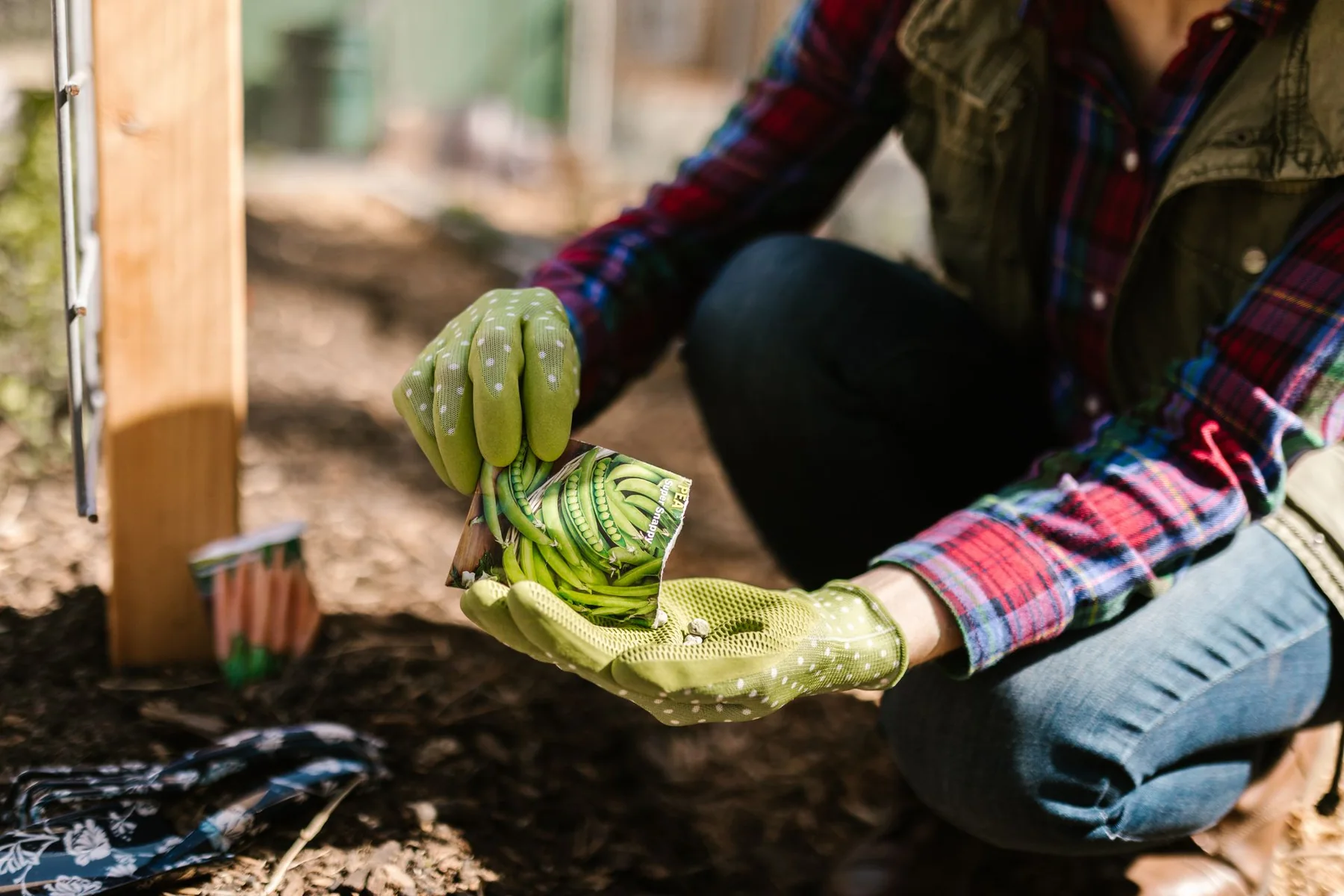 A gardener wearing gloves holds a seed packet above garden soil.