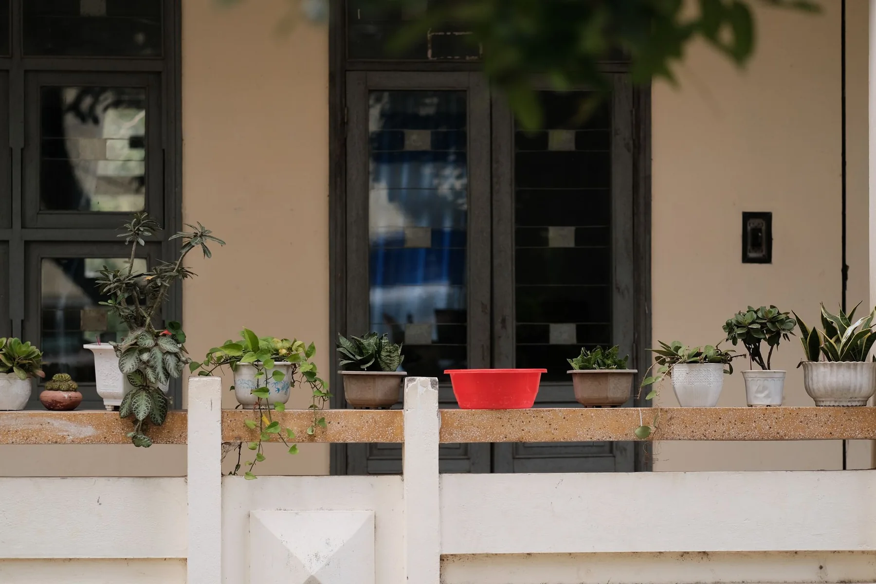 A balcony holds a variety of potted plants and a red container.