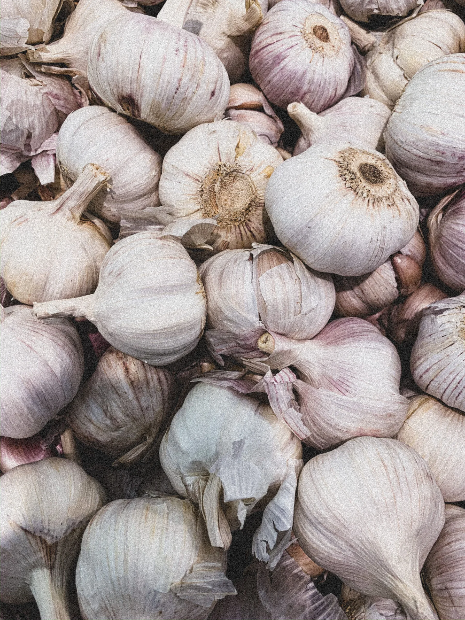 A close-up of fresh garlic cloves stacked together.
