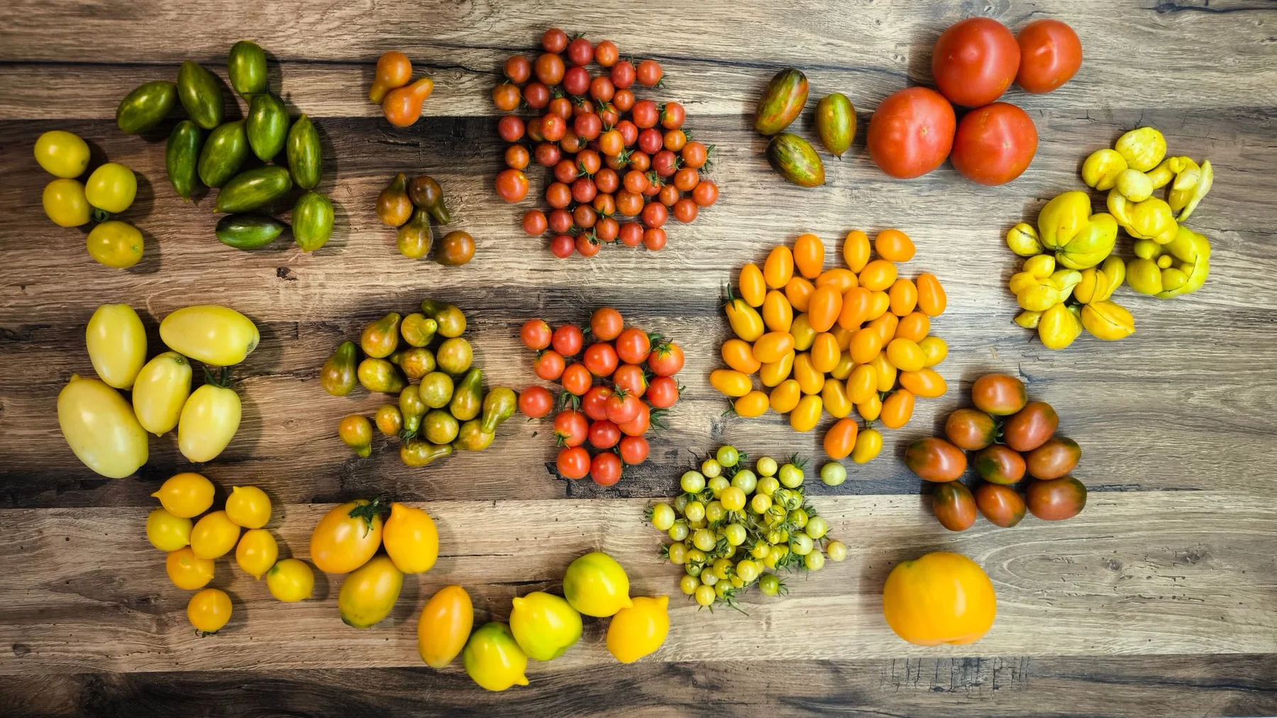 Colorful heirloom tomatoes are displayed on a rustic wooden table.