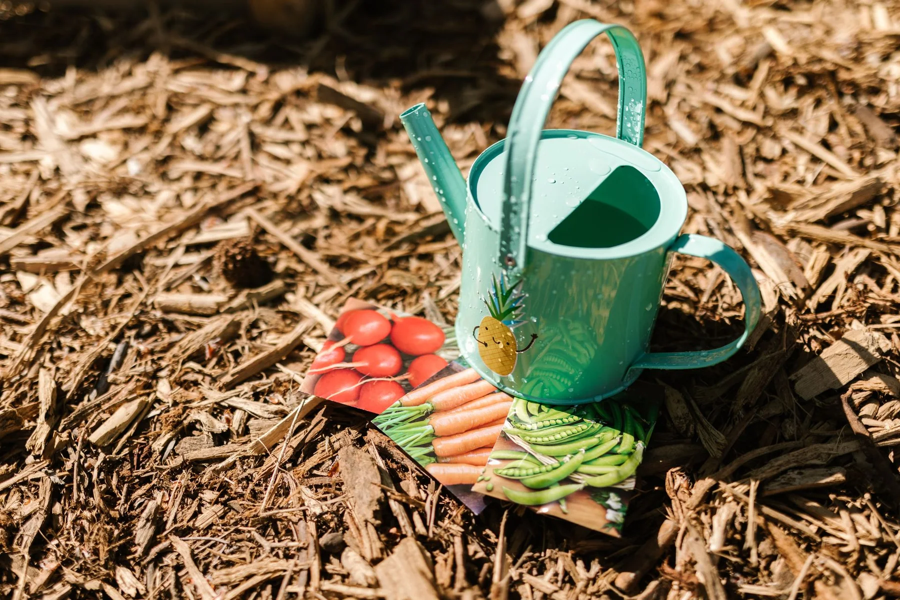 Seed packets and a watering can lie on mulch in a garden.