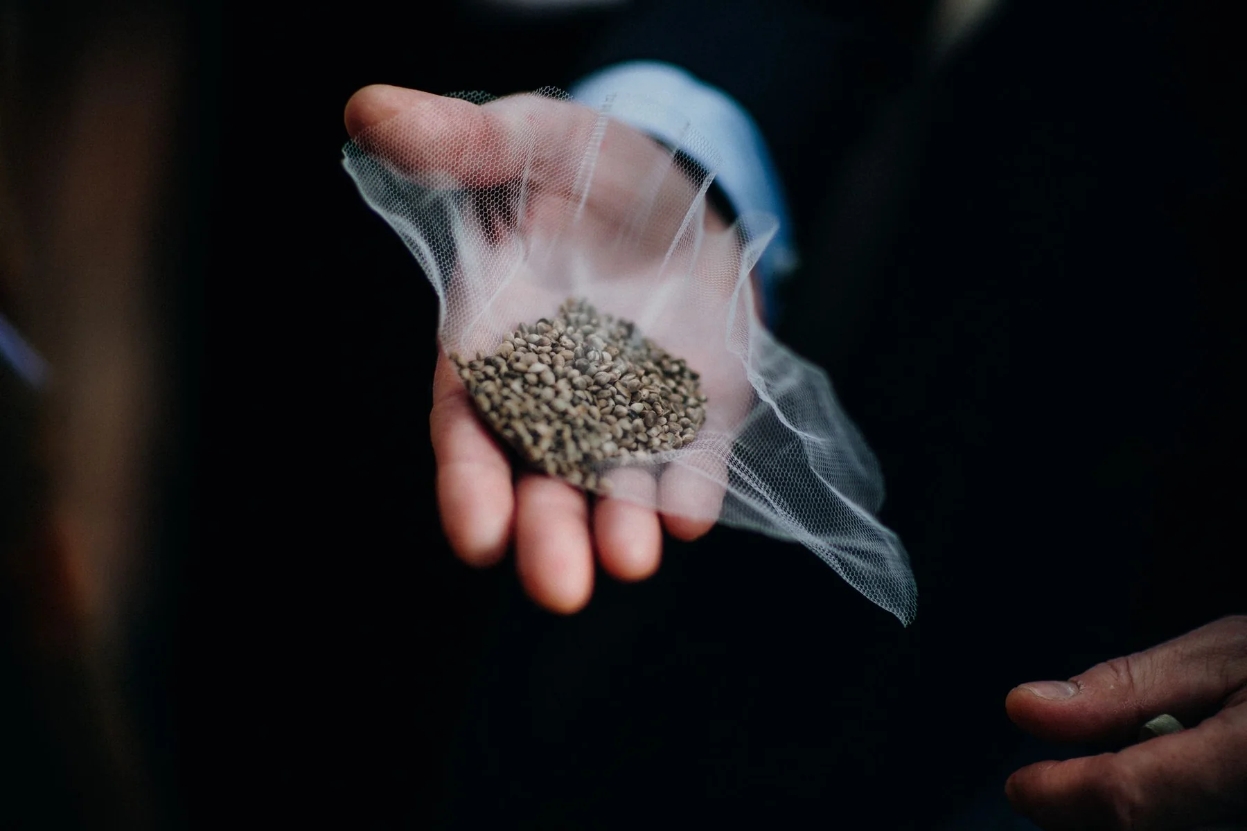 A hand holds seeds wrapped in a small mesh pouch.