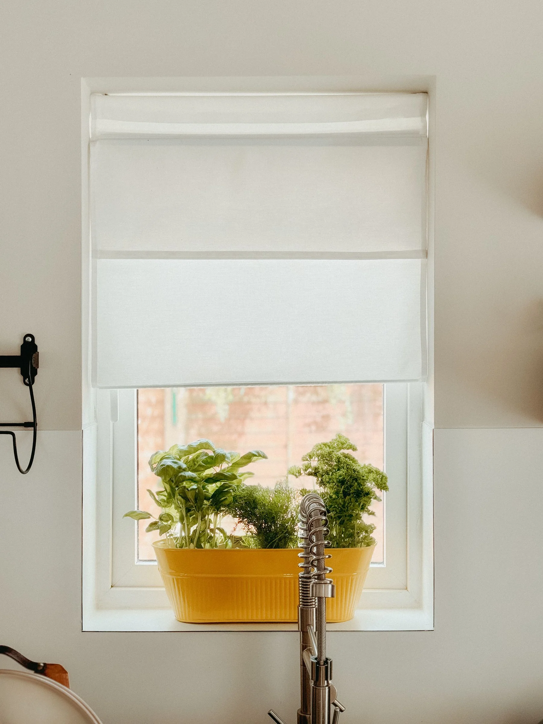 Fresh herbs in a yellow pot beside a bright kitchen window.
