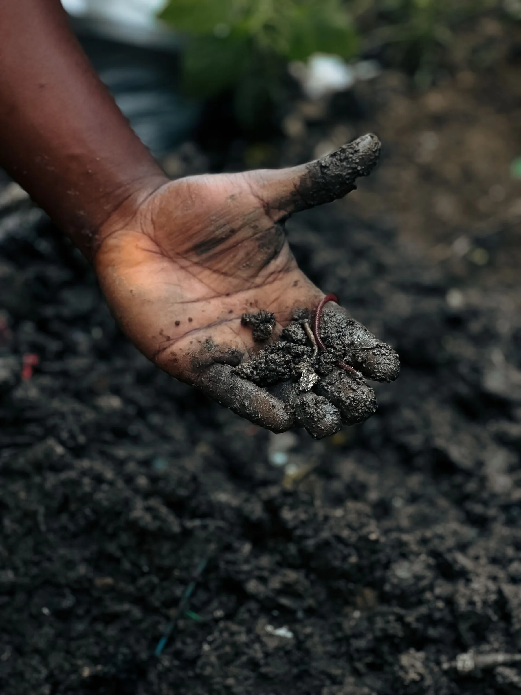 A hand holds dark soil with an earthworm.